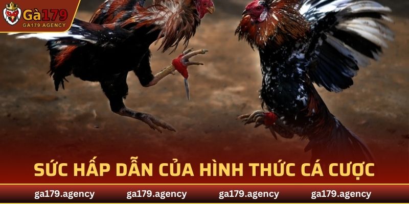 Sức hấp dẫn của hình thức cá cược