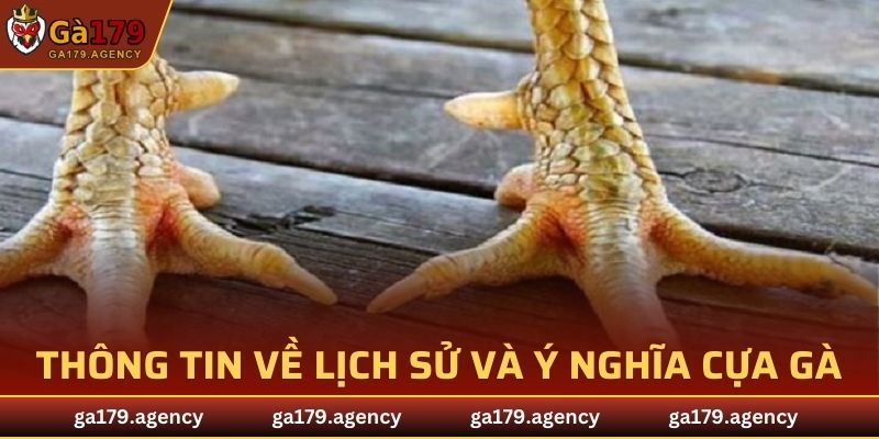 Thông tin về lịch sử và ý nghĩa văn hóa cựa gà
