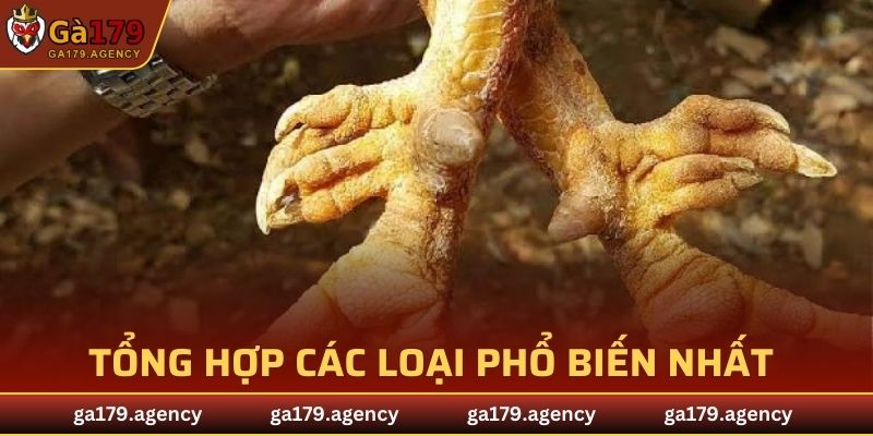 Tổng hợp các loại phổ biến nhất hiện nay