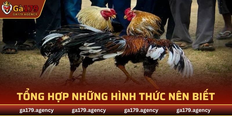 Tổng hợp những hình thức nên biết