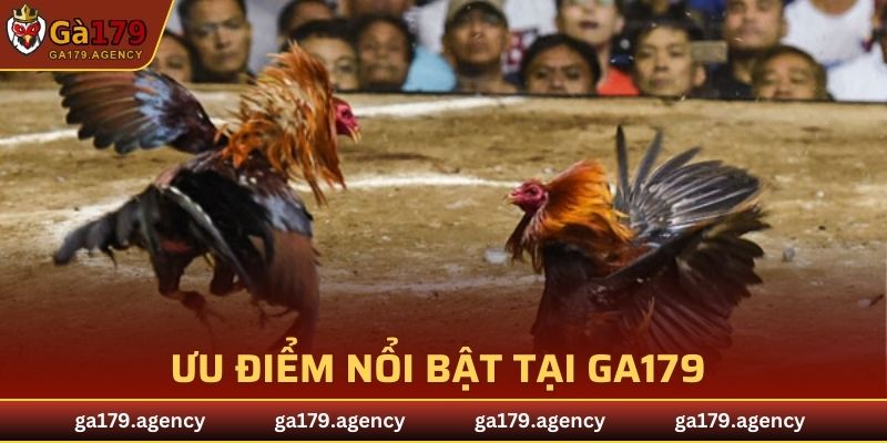 Ưu điểm nổi bật khi giới thiệu GA179 cho người chơi mới