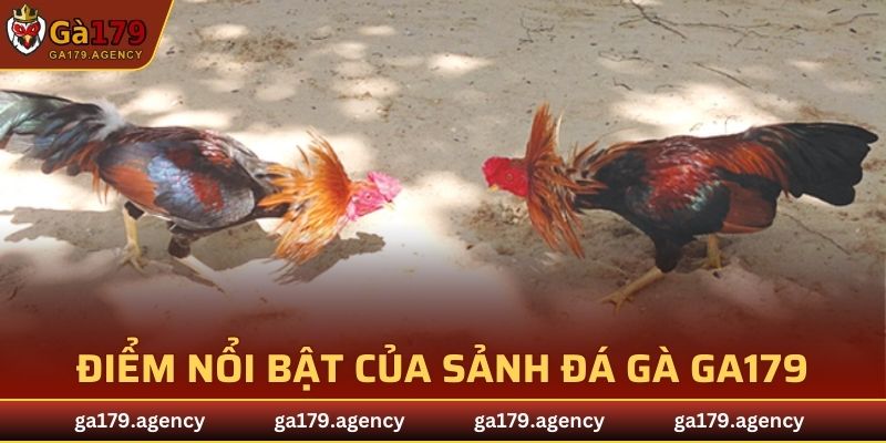 Ưu điểm nổi trội chỉ có ở sảnh cược đá gà GA179