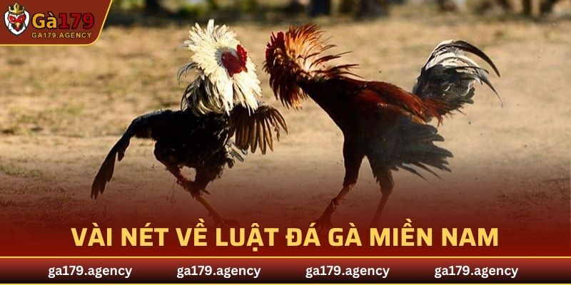 Vài nét về luật đá gà miền nam