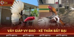 Vảy Giáp Vy Đao