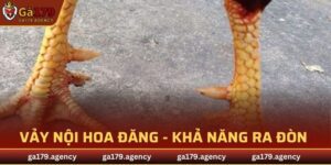 Vảy Nội Hoa Đăng