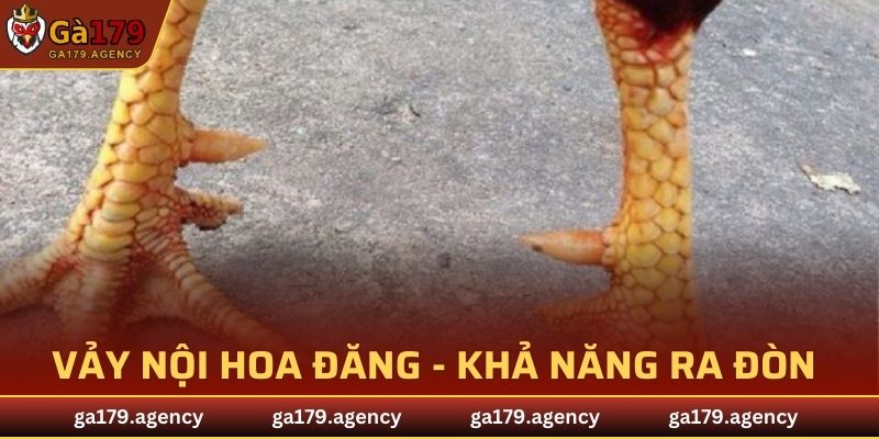 Vảy Nội Hoa Đăng
