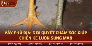 Vảy Phủ Địa