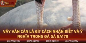 Vảy Vấn Cán