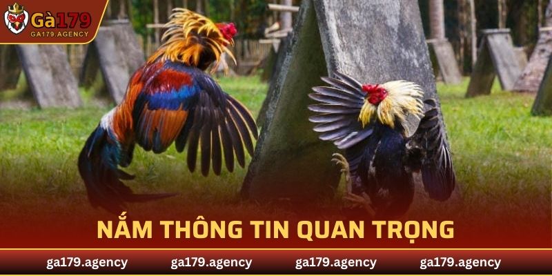 Việc nắm thông tin đóng vai trò quan trọng