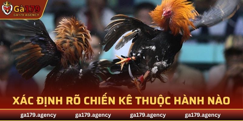 Hãy xác định rõ chiến kê thuộc hành nào